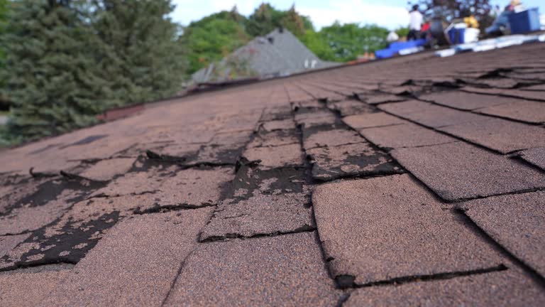 Best Roof Insulation Installation  in Fraser, CO